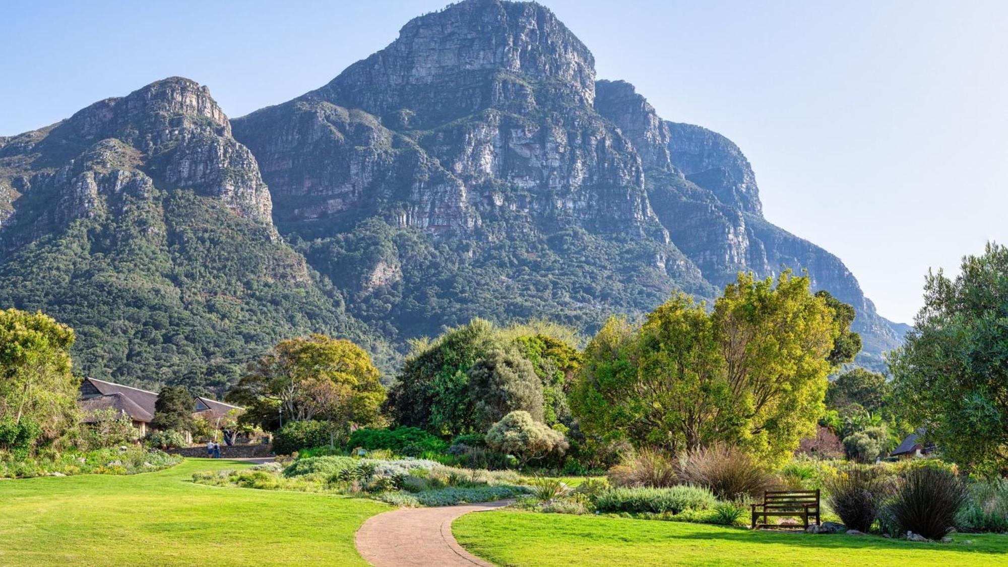 Holiday Inn Express Cape Town City Centre By Ihg Eksteriør billede